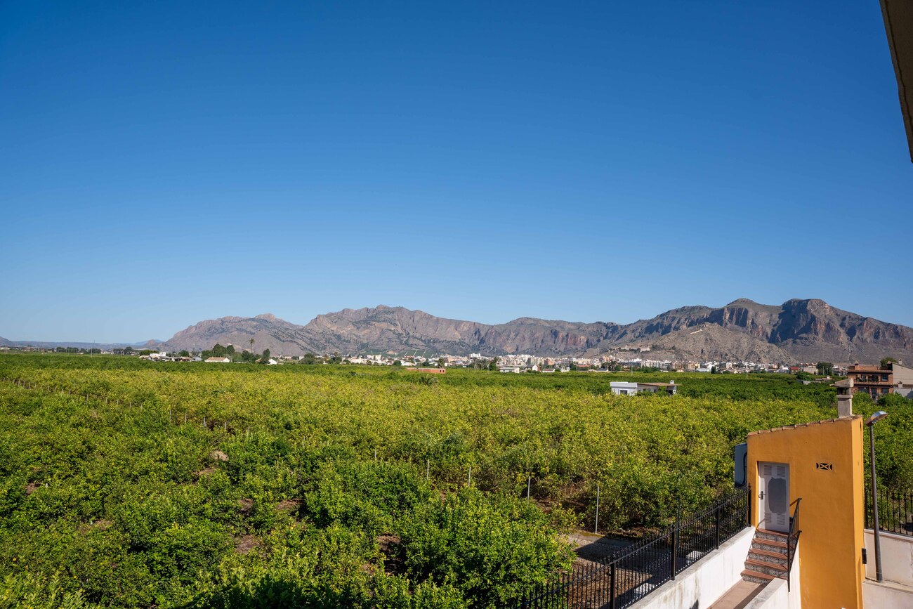 Finca for Sale in Orihuela, Alicante