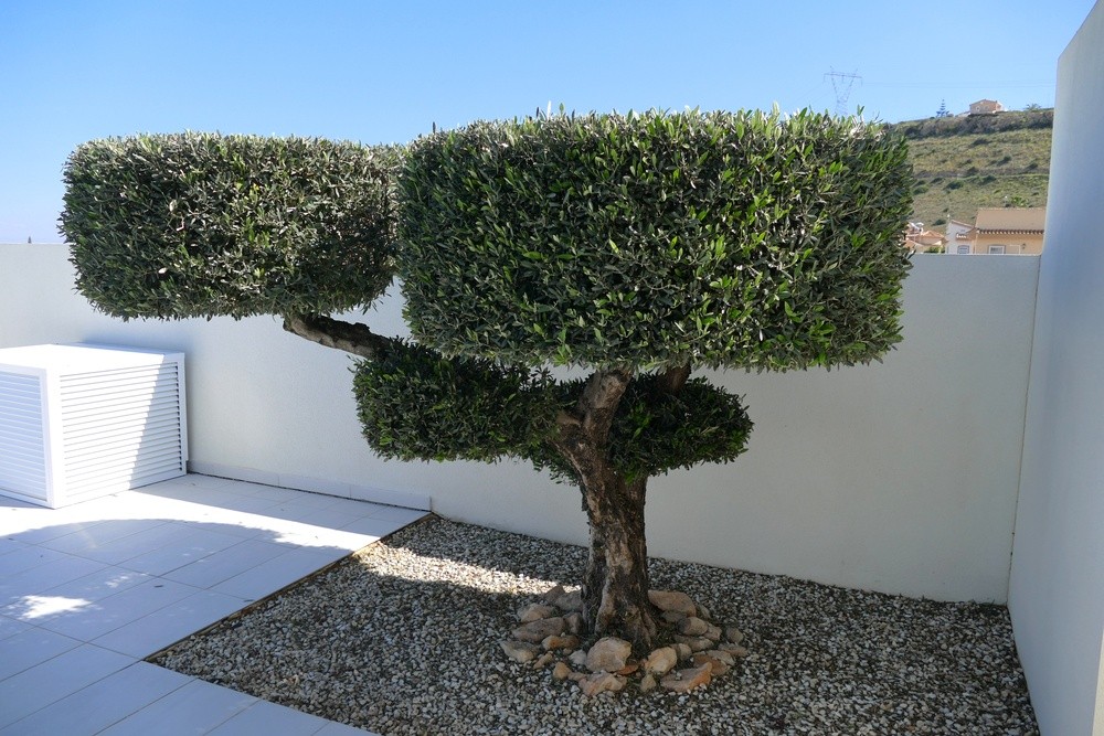 Villa for Sale in Benijofar, Alicante