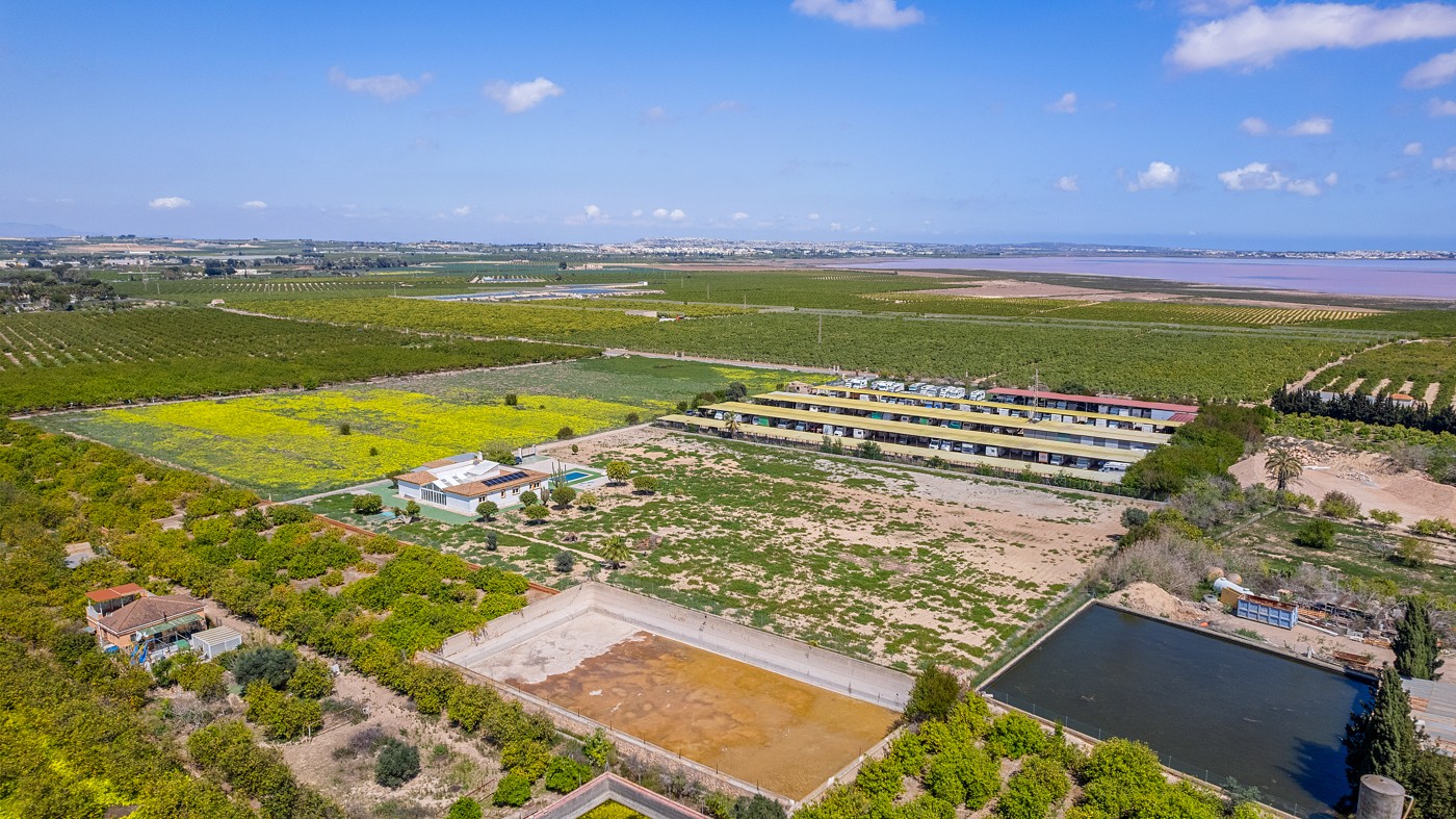 Villa for Sale in Los Montesinos, Alicante