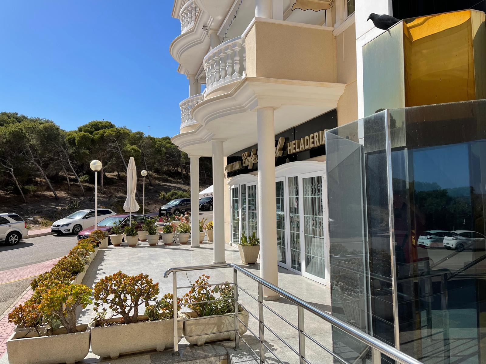 Commercial for Sale in Guardamar del Segura, Alicante