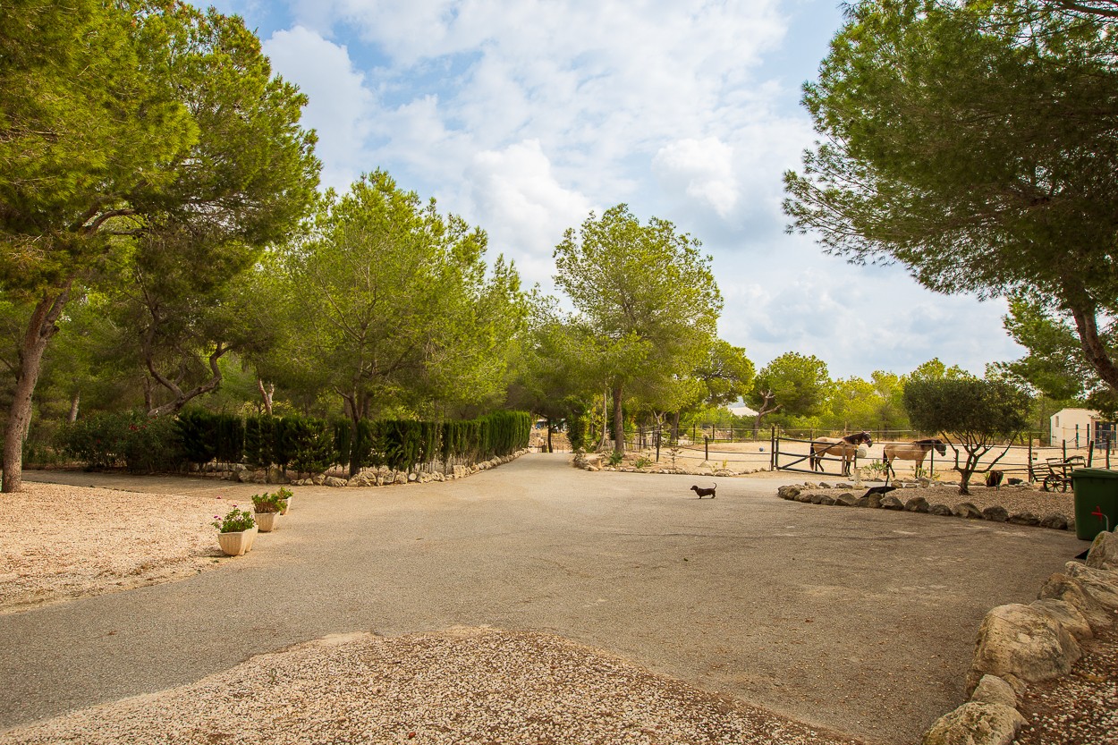 Country House for Sale in Torremendo, Alicante