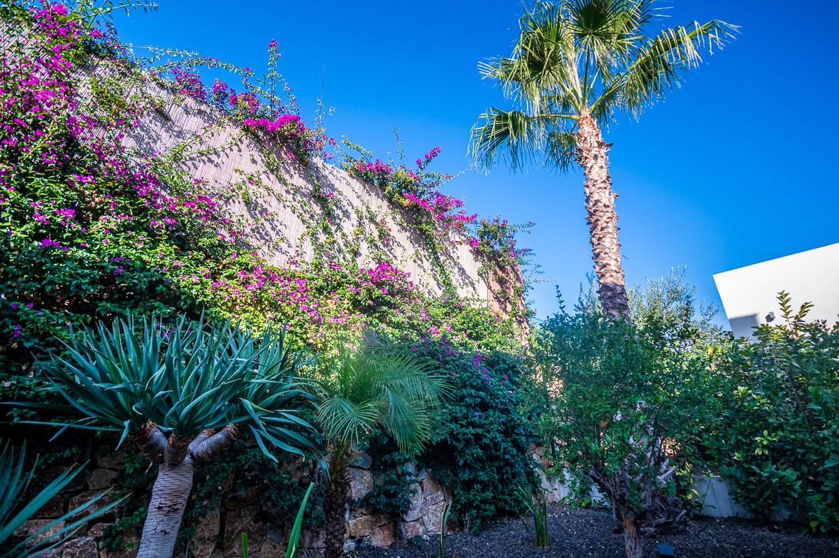 Villa for Sale in Algorfa, Alicante