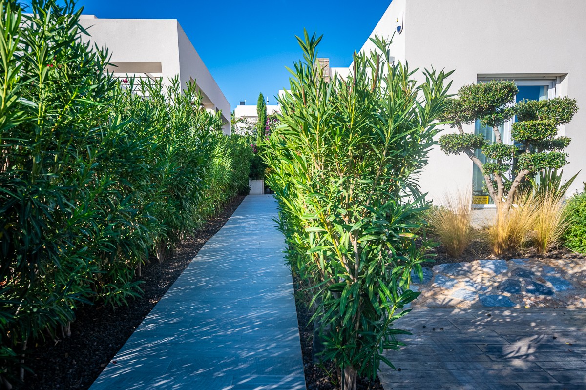 Villa for Sale in Algorfa, Alicante