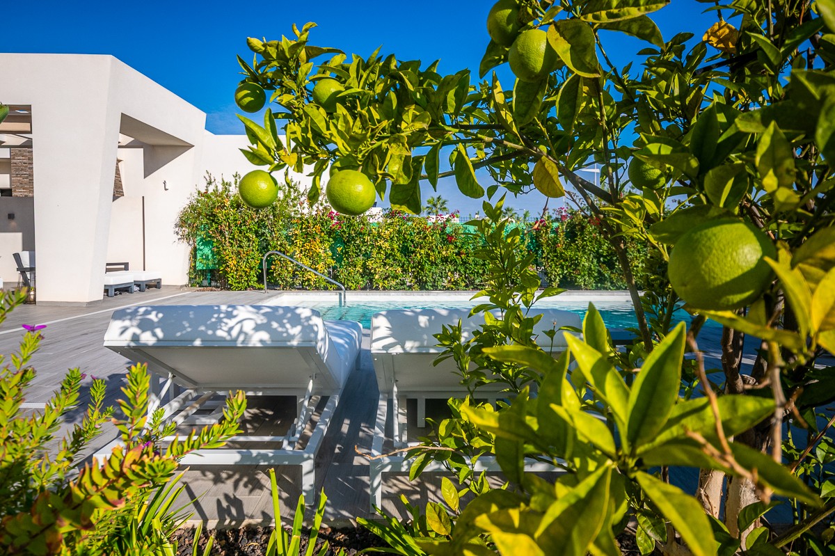 Villa for Sale in Algorfa, Alicante