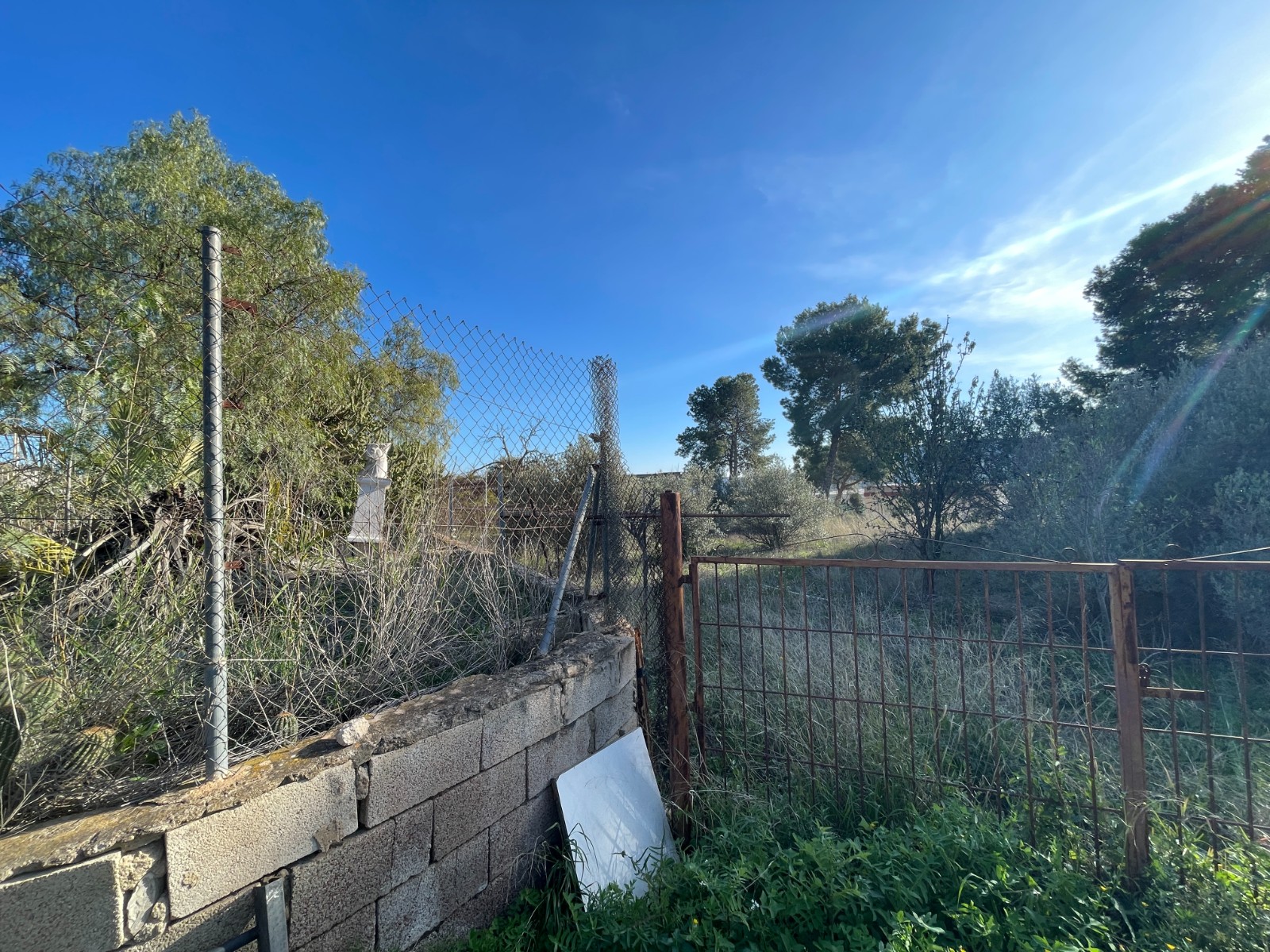 Country House for Sale in Aspe, Alicante