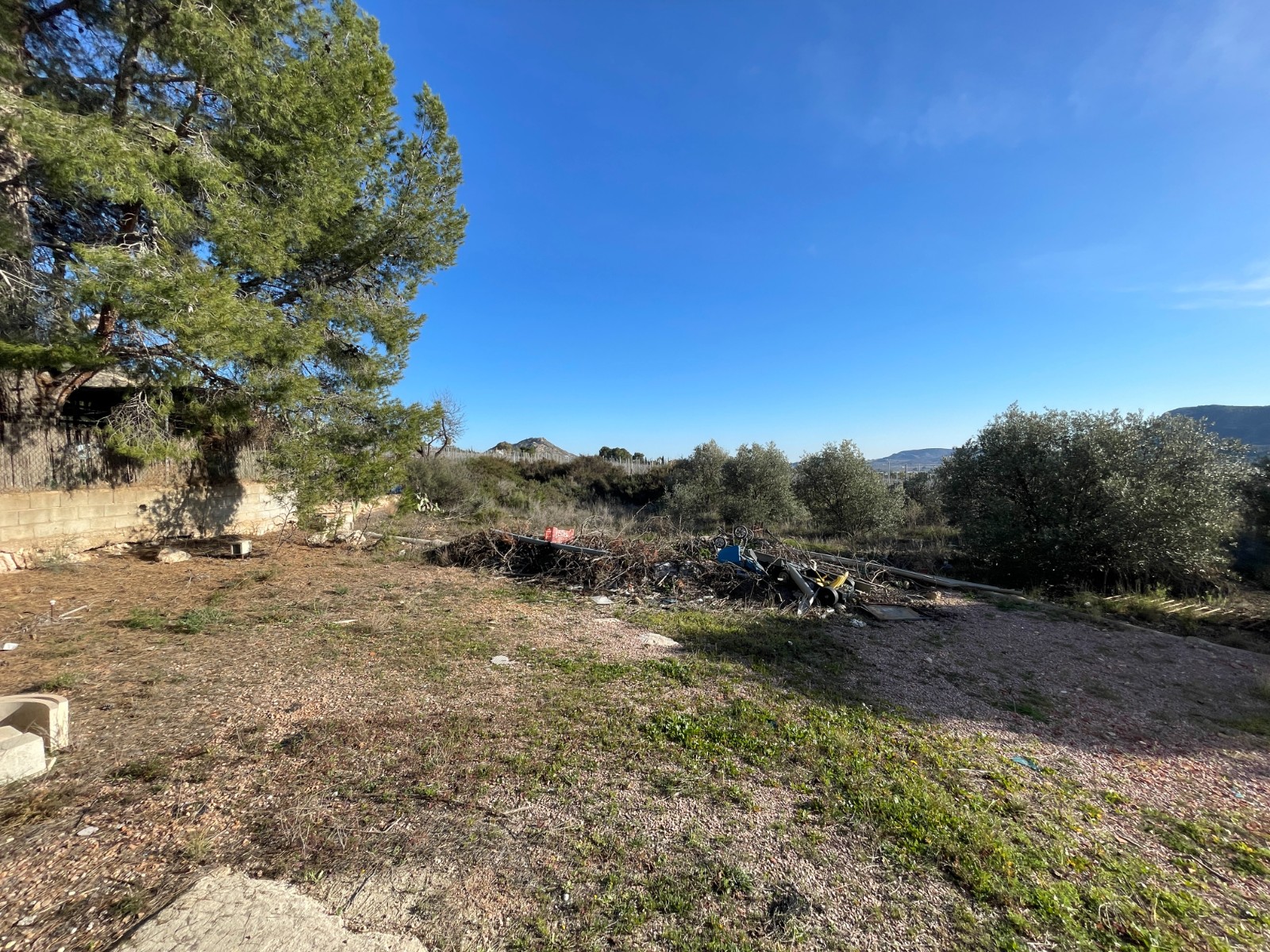 Country House for Sale in Aspe, Alicante