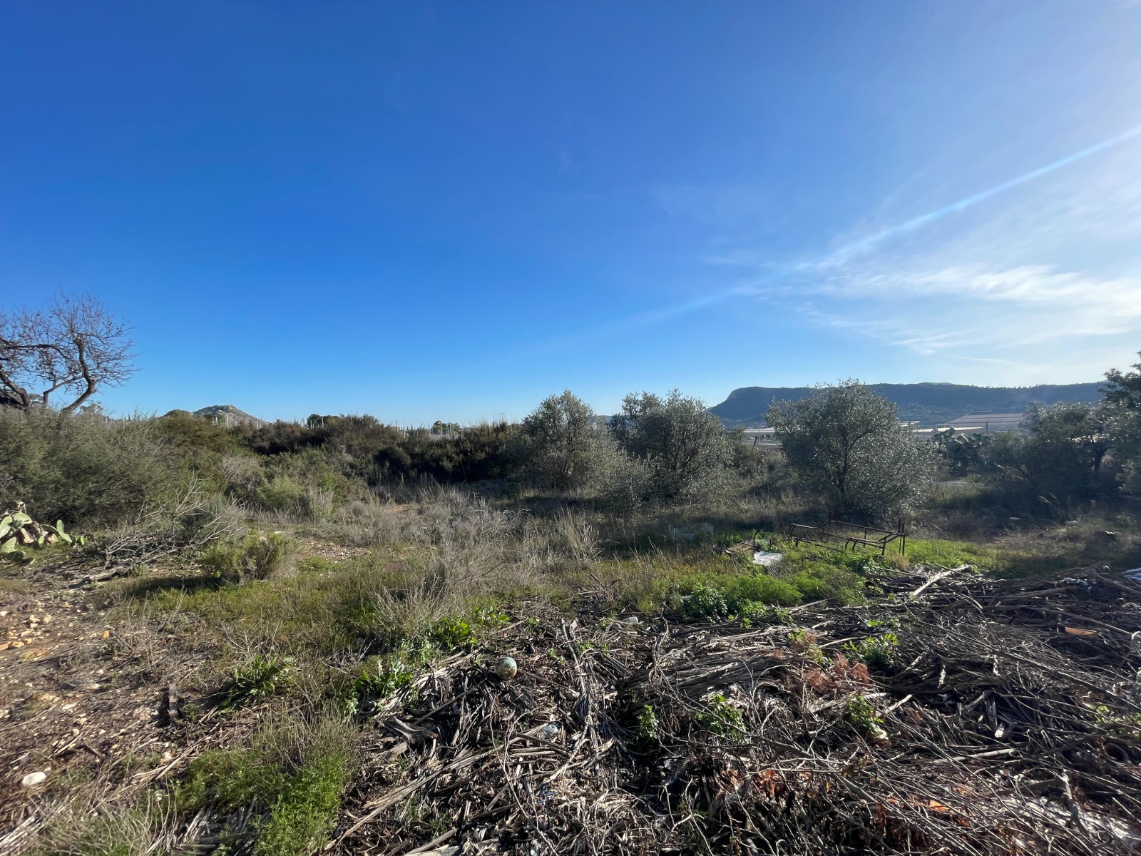 Country House for Sale in Aspe, Alicante