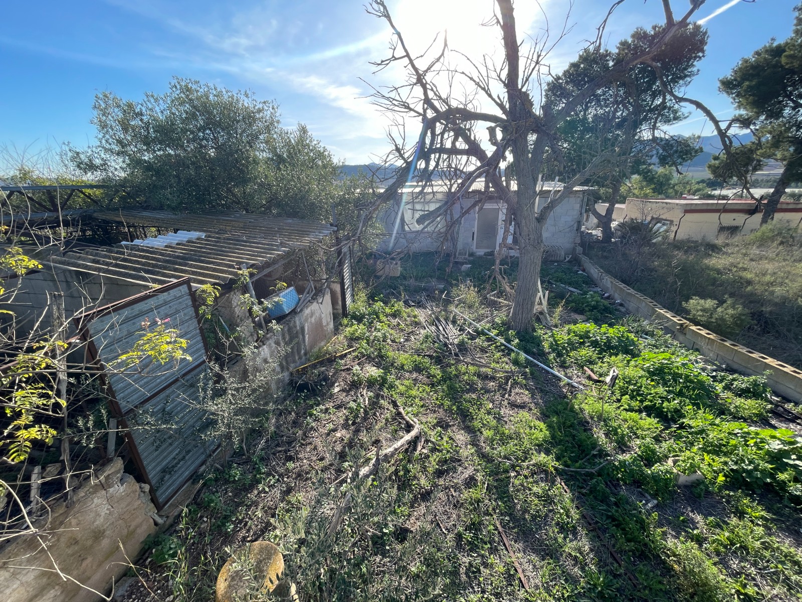 Country House for Sale in Aspe, Alicante
