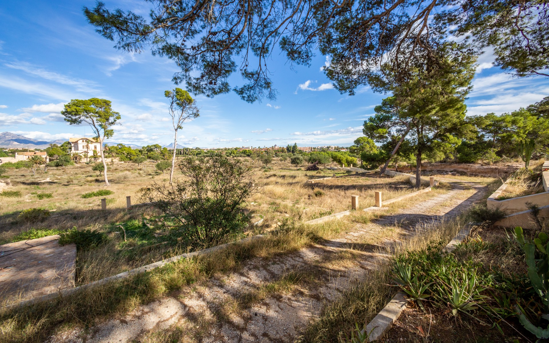 Villa for Sale in Alicante, Alicante