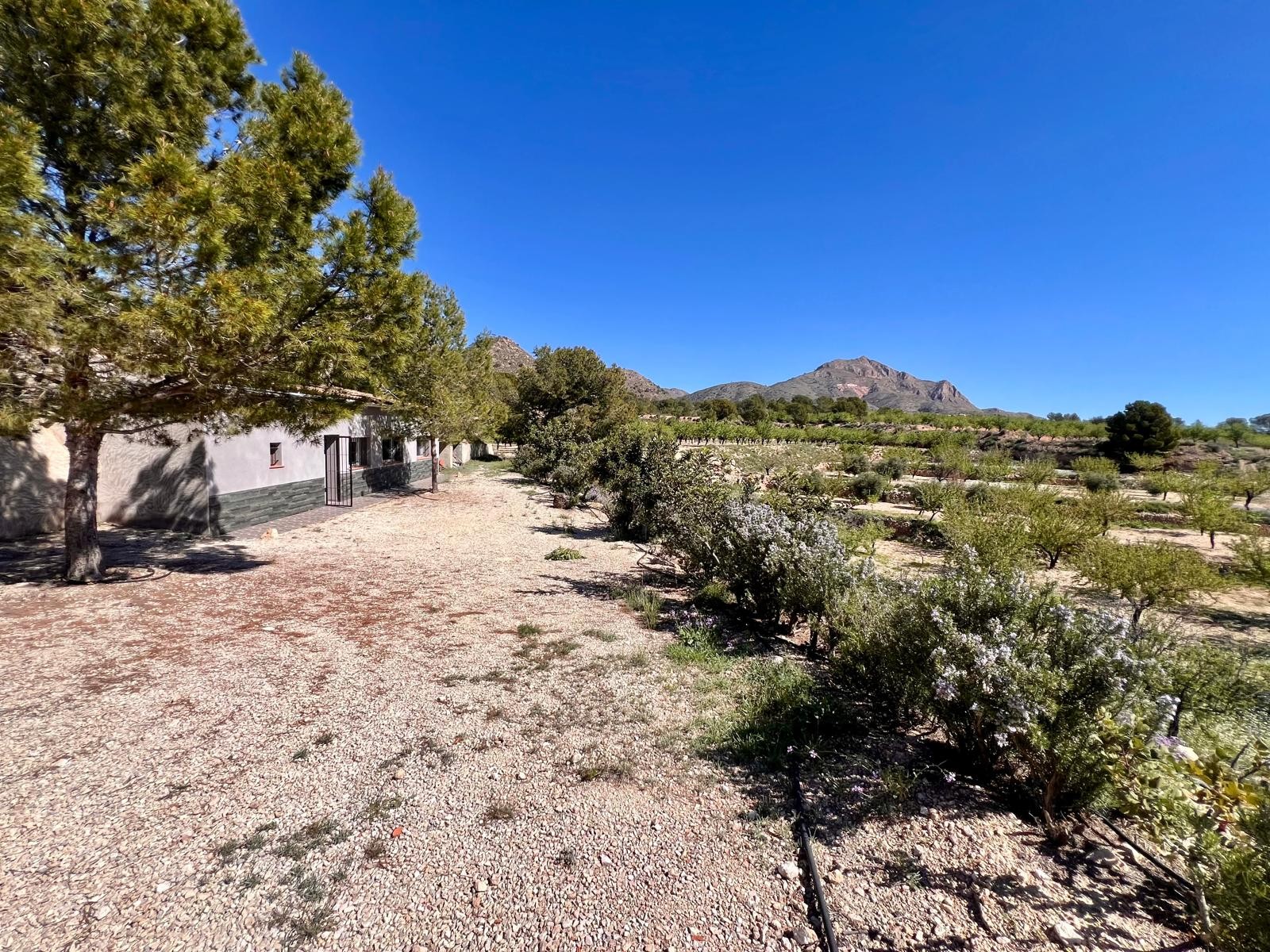Country House for Sale in Barinas, Murcia