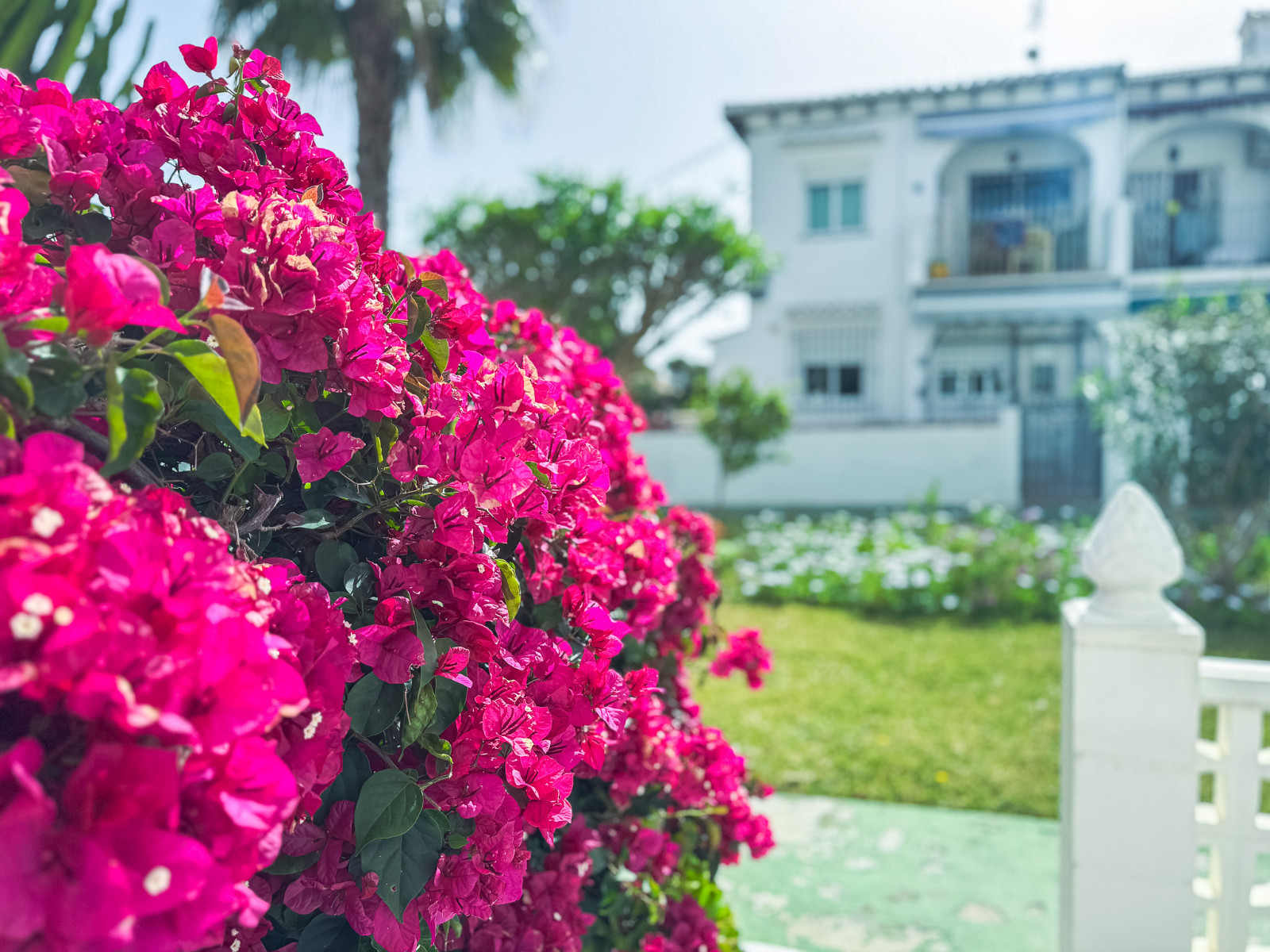 Bungalow for Sale in Torrevieja, Alicante