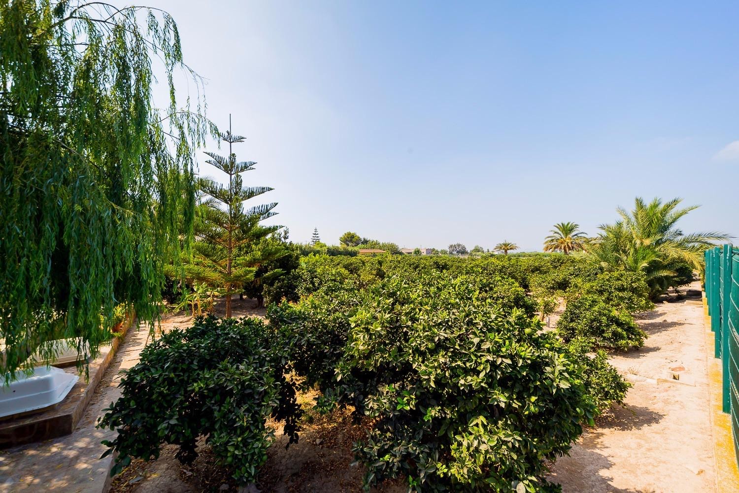 Country House for Sale in Almoradi, Alicante