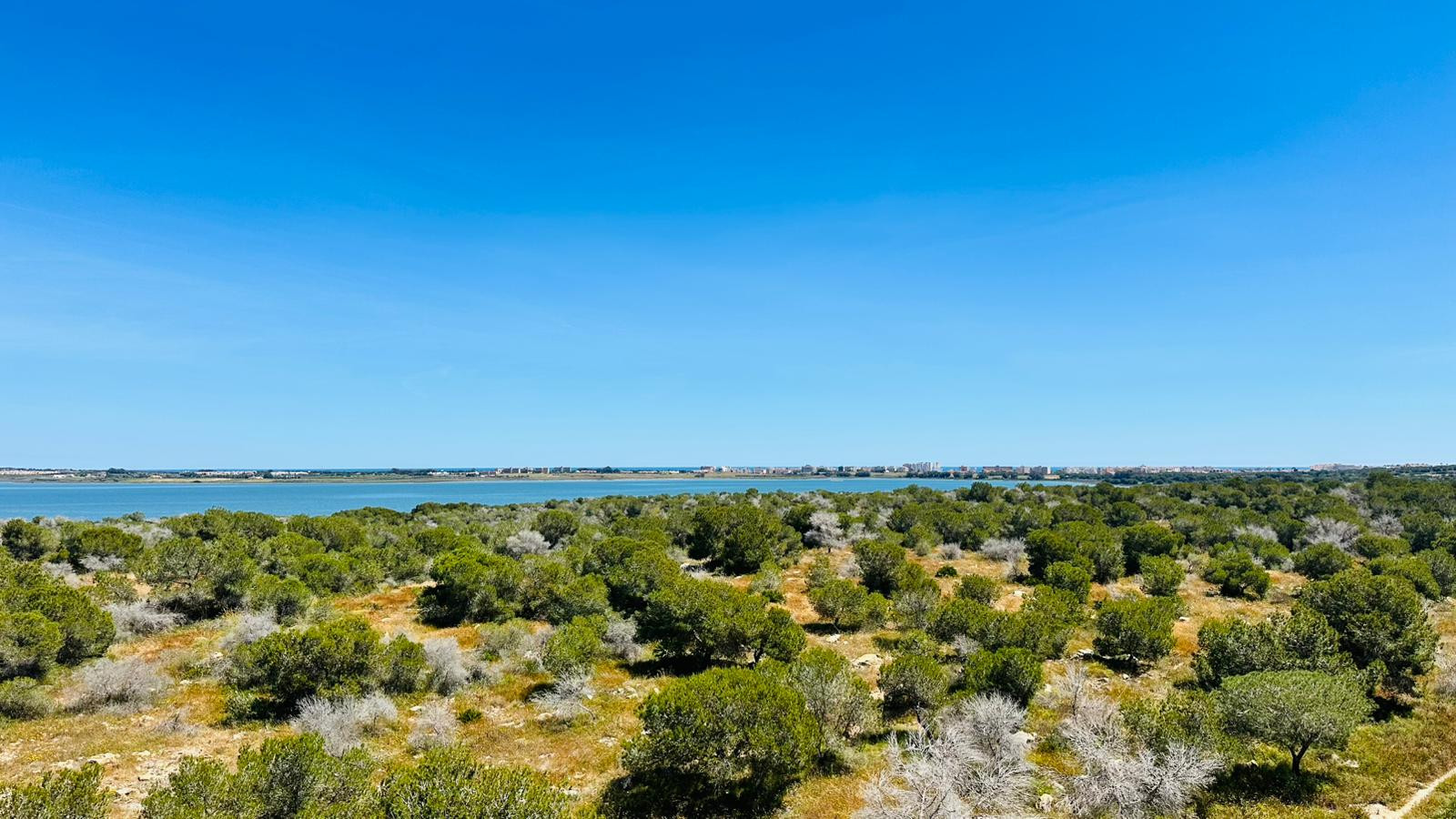 Apartment for Sale in Torrevieja, Alicante