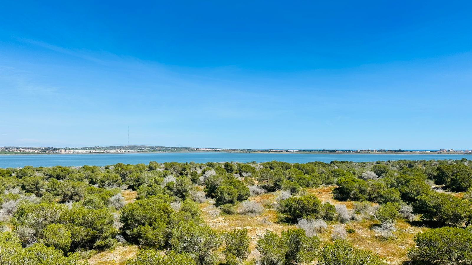 Apartment for Sale in Torrevieja, Alicante