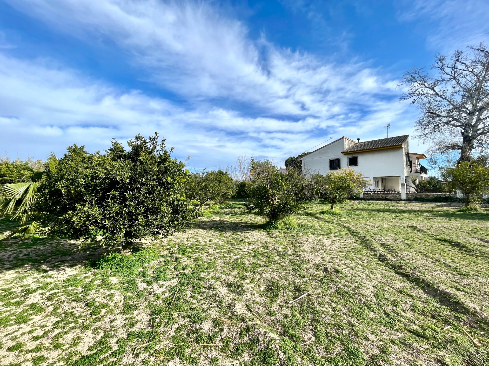 Villa for Sale in Benejuzar, Alicante