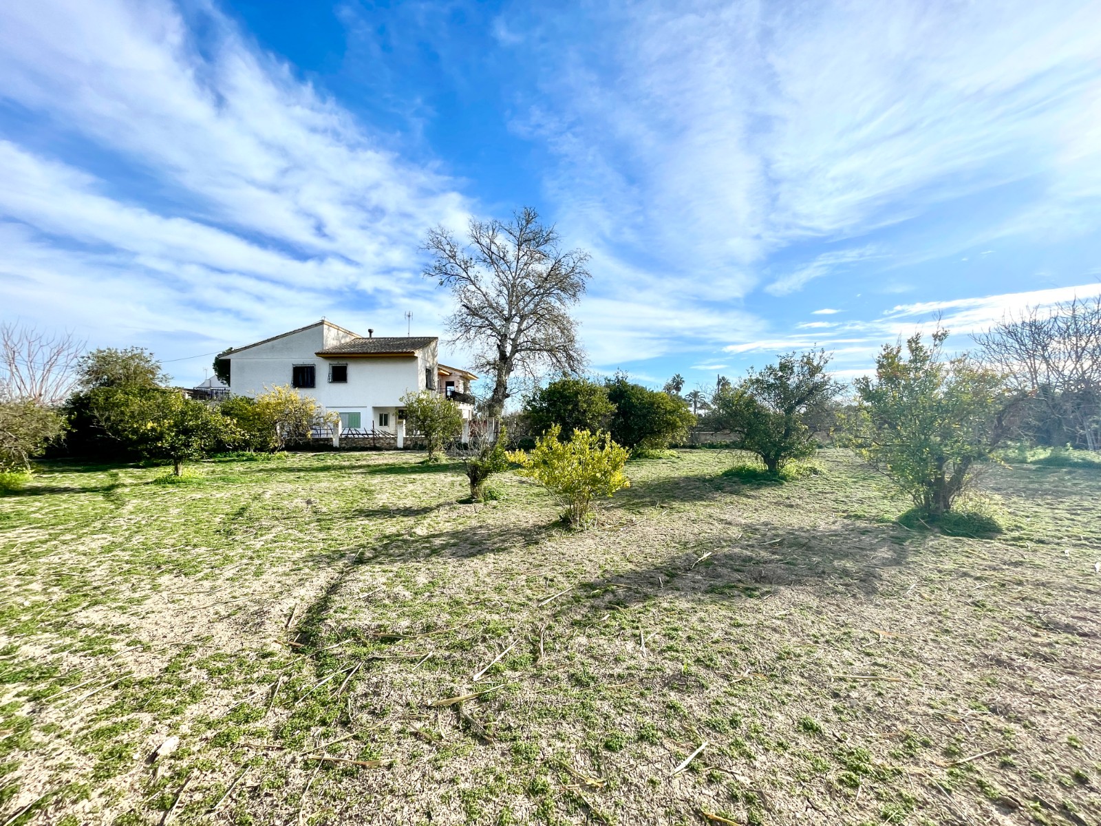 Villa for Sale in Benejuzar, Alicante