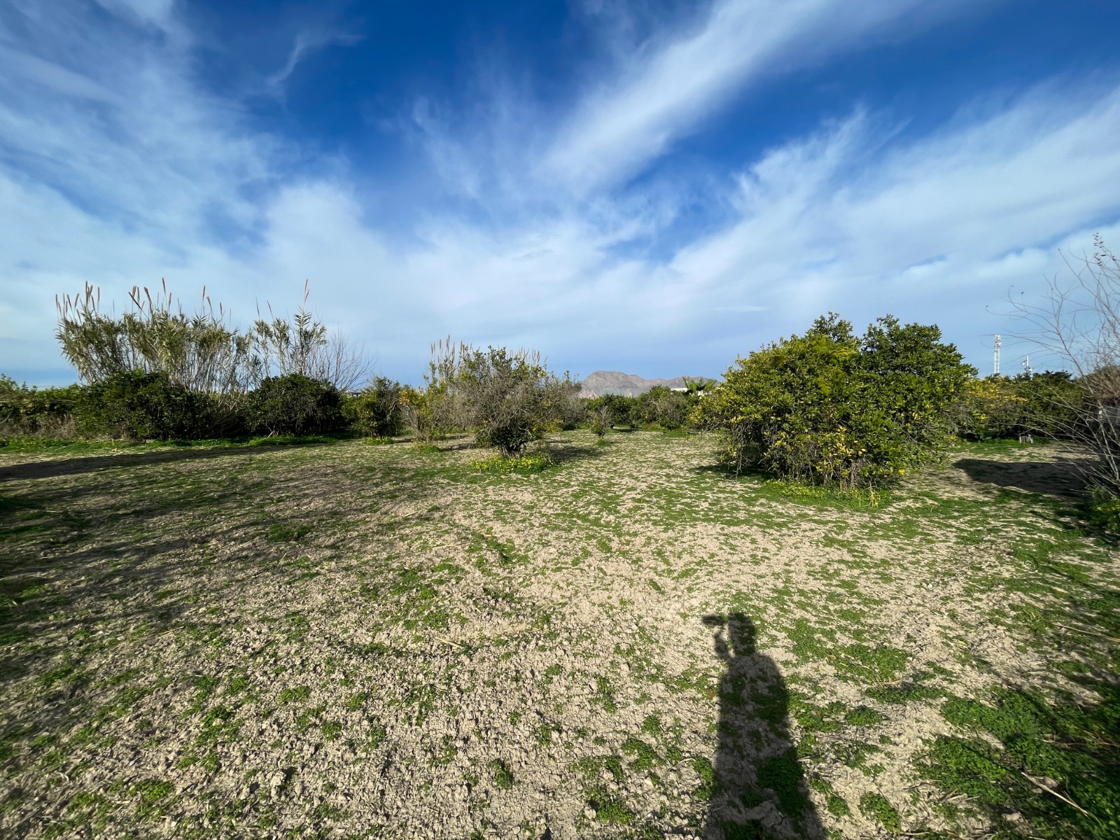Villa for Sale in Benejuzar, Alicante