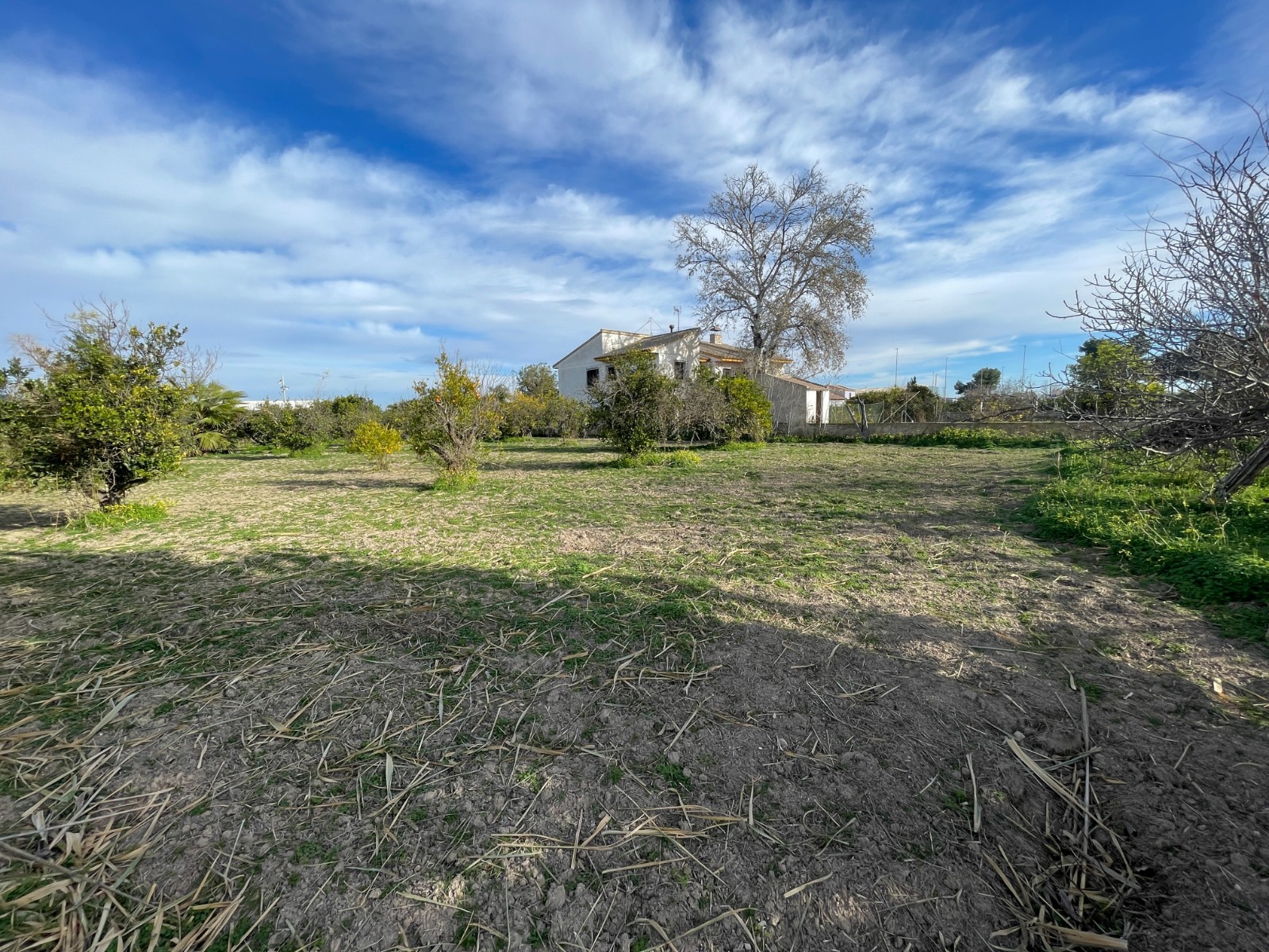 Villa for Sale in Benejuzar, Alicante