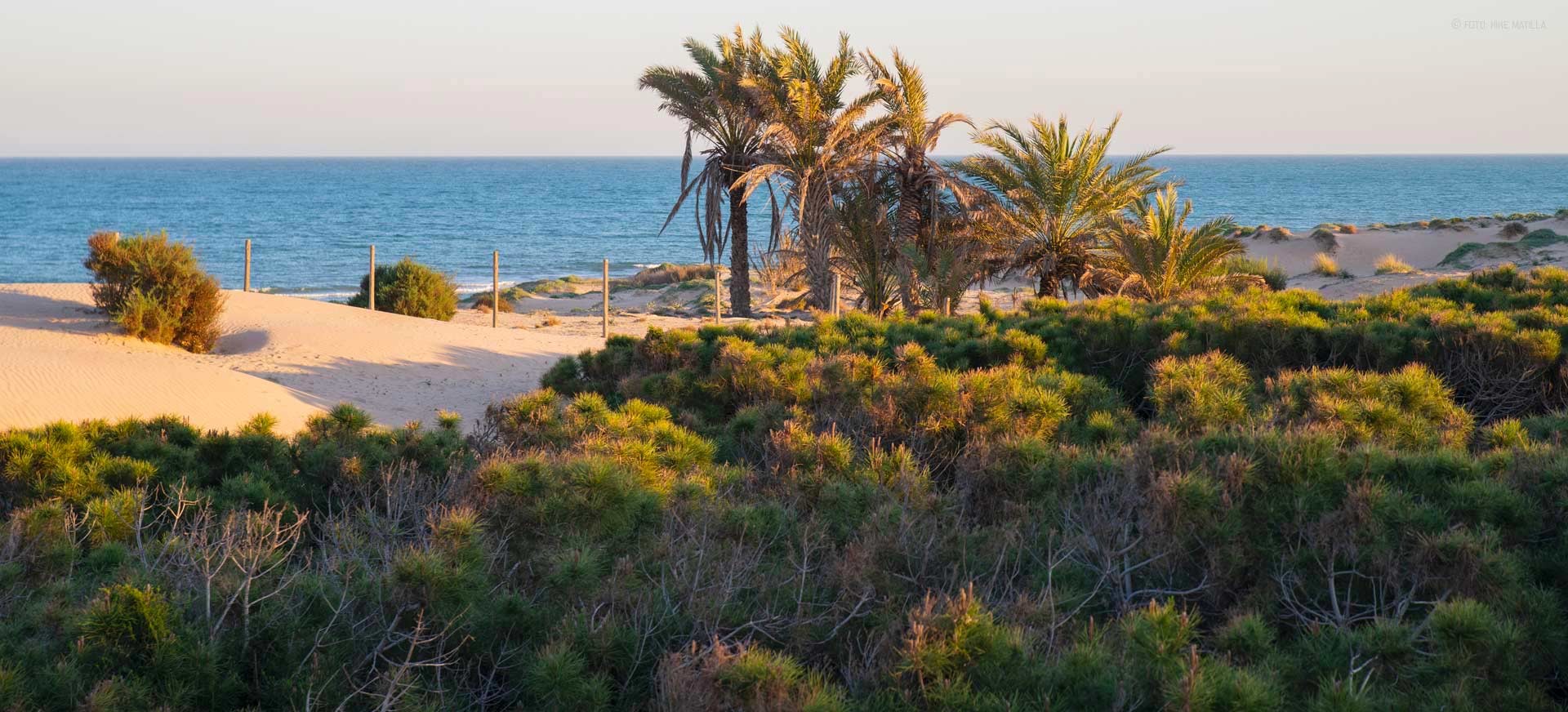 Apartment for Sale in Guardamar del Segura, Alicante