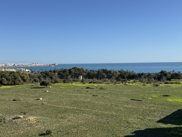 Penthouse Penthouse for Sale in Punta Prima, Alicante