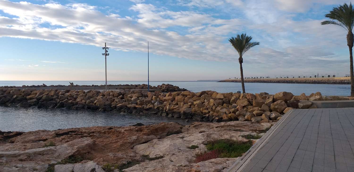 Apartment for Sale in Torrevieja, Alicante