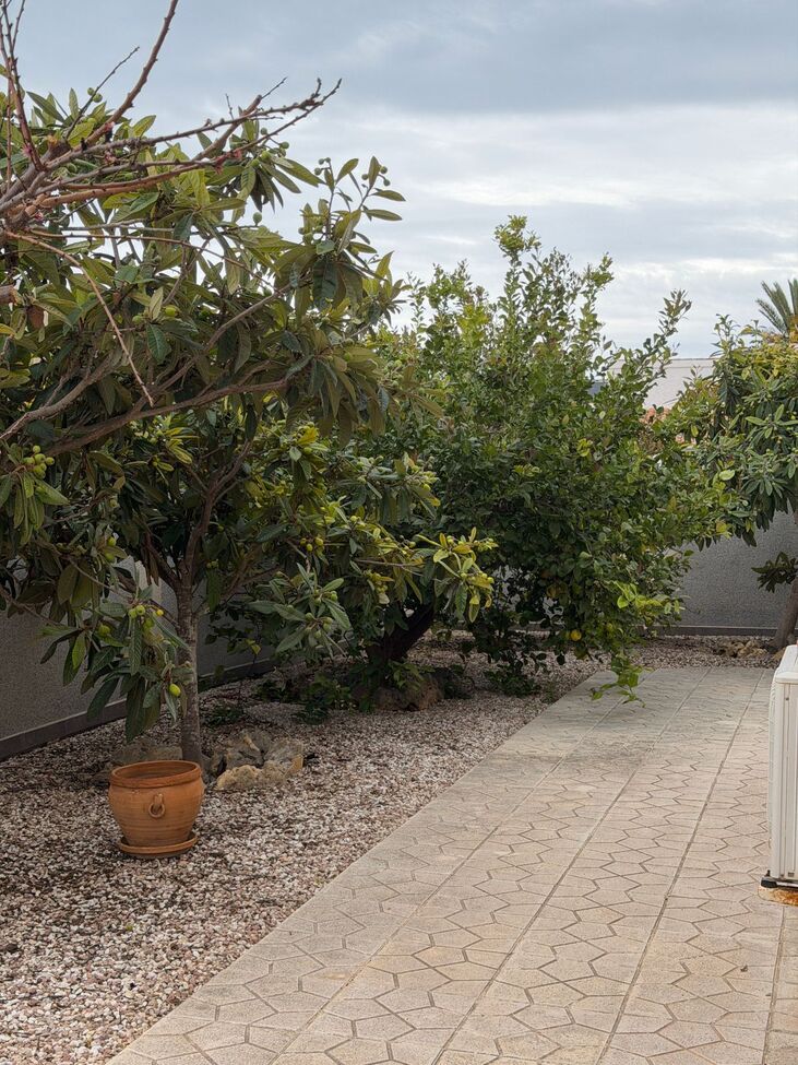 Villa for Sale in Playa Flamenca, Alicante